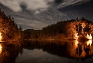 Eiswoog Nacht Palatinascout Sternenhimmel
